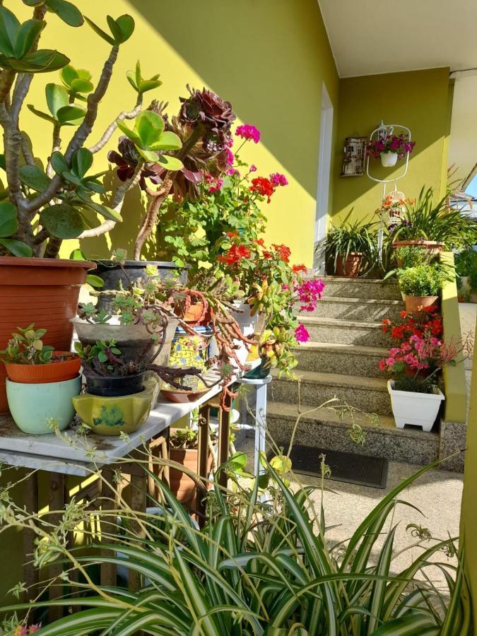 Apartamento Corazón do Val da Louriña-Área Vigo Pontevedra Exterior foto