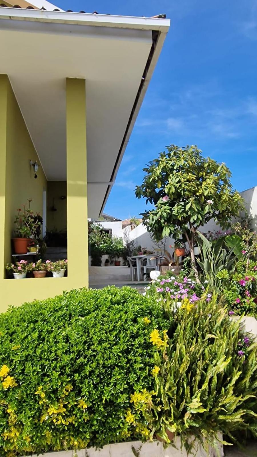 Apartamento Corazón do Val da Louriña-Área Vigo Pontevedra Exterior foto